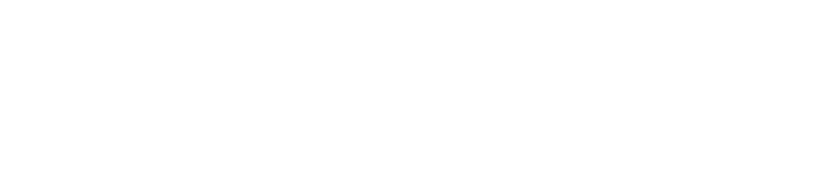 Marca Acerbag